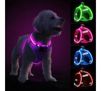 Light Up Dog Harness with Rechargeable LED - Waterproof Reflective Dog Harness Glow in the Dark - Flashing Harness for Puppy Small Medium Dogs Walking in Light, Purple-L