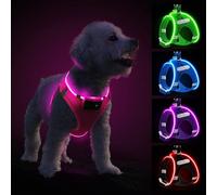 Light Up Dog Harness with Rechargeable LED - Waterproof Reflective Dog Harness Glow in the Dark - Flashing Harness for Puppy Small Medium Dogs Walking in Light, Pink-L