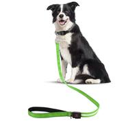 Light up Dog Leash, 1.2m / 4ft Rechargeable LED Dog Leash with 4 Light Modes, Pet Leashes Glow in the Dark Dogs Lights for Night Walking, Nylon Leashes for Medium, Small, Large Dogs (Green)