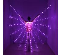 Light Up Fairy Wings Adult Women | LED Purple Belly Dance Isis Wings with Telescopic Stick | Rainbow Butterfly Wings Festival Wear for Carnival Halloween Christmas Glowing Postume (Purple)