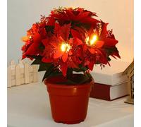 Light-up Poinsettia Tree - Decorative Christmas Plant with Lights for the Holiday Season - Elegant Centrepiece