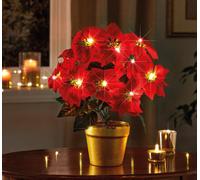 Light-Up Potted Poinsettia Arrangement, Battery Operated, Warm White Leds, Gold Pot, 35Cm