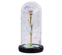 Light Up Roses In Glass Dome - Roses In Glass Dome With LED Light | Battery-operated Eternal Rose In Glass Dome | Rose Night Light Ornaments | Creative Light Up Rose In Glass For Women, Wife