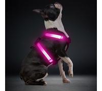 Light Up Small Dog Harness, LED Rechargeable Harness for Small Sized Dog, No Pull Reflective Adjustable Dog Vest Harness with Soft Light, Glow-in-the-Dark for Night Safety Walking (Pink)