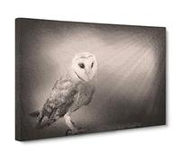 Light Upon The Barn Owl Canvas Print | Gallery Wrapped 30mm Frame Wall Art | 20x14 inches | Ready to Hang | Modern Animals Picture | Living Room Bedroom Lounge Office