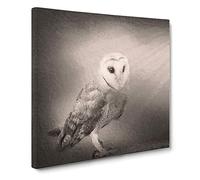 Light Upon the Barn Owl Canvas Print | Gallery Wrapped 30mm Frame Wall Art | 20x20 inches | Ready to Hang | Modern Animals Picture | Living Room Bedroom Lounge Office