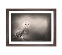 Light Upon The Barn Owl Modern Art Framed Print | A2 Walnut Framed Wall Art | Ready to Hang | Modern Animal Picture | Living Room Bedroom Lounge Office