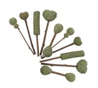 LIGHTAOTAO 10Pcs Natural Catnip Sticks Kitten Edible Chew for Indoor Cats Teeth Cleaning Dental Care Interactive Cat Teasing Mixed Styles