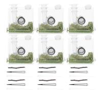 LIGHTAOTAO 2 Sets Medium Acrylic Jumping Spider Enclosure Habitat Cage with Snail Terrarium for Reptile Feeding and Spider Breeding, Habitat Case for Insect Housing and Pet Storage