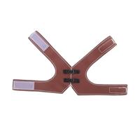 LIGHTAOTAO Adjustable Brown PU Leather Bird Vest for Parrots and Hens, Vintage Style Flight Suit and Training Harness, Lightweight Pet Bird Clothes for Outdoor and Festive Use