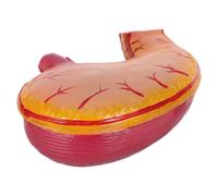 LIGHTAOTAO Portable Plastic Stomach Anatomy Model for Education and Training Study with Anatomy Visualization, for Students and Educators in Classroom and Learning