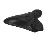 LIGHTAOTAO Realistic Resin Megalodon Tooth with Serrated Shark Tooth Shape, Portable Home Desktop Ornament and Science Popularization Prop for Table Shelf or Paleontology Scene Display