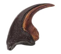 LIGHTAOTAO Realistic Resin Monolophosaurus Claw Model Scientific Accuracy Dinosaur Claw Teaching Display for Prehistoric Animal Study, for Dinosaur-themed Events and Educational Exhibitions