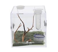 LIGHTAOTAO Small Jumping Spider Habitat Box Breeding Enclosure for Florida Jumping Spider Insect PET Landscape Case Mini Box Ventilation