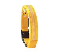 Lighted Dog Collar - Glowing LED Dog Collar Light - Rechargeable & Flashing - Safe for Nighttime Walks - Great for Puppies, Small & Medium Dogs