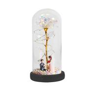 Lighted Flower in Dome - LED Light String Floral Dome Lamp with Music,Romantic Eternal Floral Lamp for Women Mom