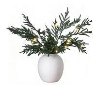 Lighted Norfolk Pine Branches, Pre lit Artificial Pine Stems with Warm Lights for Christmas Greenery, Holiday Garland, Wreath, Centerpiece or Home Decor Indoor Outdoor Decorations