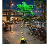 Lighted Palm Trees for Outside Patio: 5Ft 270 LED Pre Lit Palm Tree Outdoor Decor Pool Beach Deck Yard - Artificial Palm Tree with Fake Coconut for Tropical Party Christmas