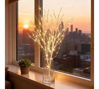 Lighted White Willow Branches, 31.5Inch 100 LED Twig Lights Battery Operated, Artificial Tree DIY Decorative Lights for Holidays, Indoor/Outdoor, Christmas & Year-Round Decoration (1set)