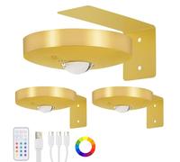 Lightess 3 Pack Picture Lights for Wall Rechargeable with Remote 13 RGB Picture Frame Light LED Wall Lights Dimmable Timer&Touch Control Magnetic Battery Operated Darts Light,Gold