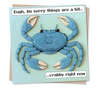 Lighthearted Support Card For a Loved One - I'm Sorry Things Are A Bit Rubbish Crabby Right Now - Get Well Soon, Recovery - For a Friend, Best Friend, Bestie, Partner, Relative, Family