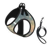 Lighthouse Backdrop Print Harness Leash Set For Cat Dog, Reflective Adjustable Escape-Proof Vest Lead With Soft Breathable Mesh, For Small Pets And Kitten Puppy