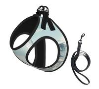 Lighthouse Backdrop Print Harness Leash Set For Cat Dog, Reflective Adjustable Escape-Proof Vest Lead With Soft Breathable Mesh, For Small Pets And Kitten Puppy