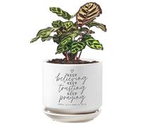 Lighthouse Christian Products Inspirational Herb Succulent Flower Planter Pot 5 x 5.5 Inch Ceramic Keep Believing Keep Trusting