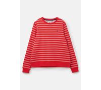 Lighthouse Clothing Women's Seaside Cotton Rich Brushed Jersey in Red | Size: 16 Lighthouse Clothing Red 16