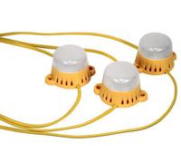Lighthouse 10 LED Festoon Lights on 22 Metre Cable 110v