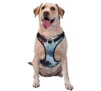 Lighthouse in A Stormy Sea Pattern Dog Harness - Lightweight,Soft,Adjustable Small Harness and Leash Set, Suitable for Puppy Small and Medium-Sized Dog-Medium
