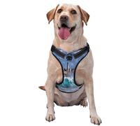 Lighthouse in Havana Pattern Dog Harness - Lightweight,Soft,Adjustable Small Harness and Leash Set, Suitable for Puppy Small and Medium-Sized Dog-X-Large