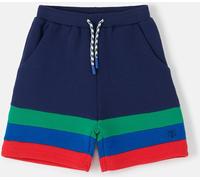 (4-5 Yrs, Navy Green Blue Red) LightHouse Boys Louie Jersey Shorts - Kids Cotton Rich Shorts