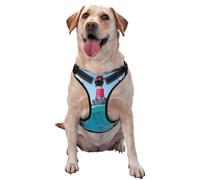 Lighthouse Sea Port Pattern Dog Harness - Lightweight,Soft,Adjustable Small Harness and Leash Set, Suitable for Puppy Small and Medium-Sized Dog-Large