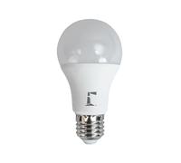 Lighthouse YDL-A60-10W Led Lightbulb A60 800Lm E27