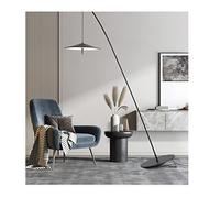 Lighting Floor Lamp Display in The Living Room (excluding Light Source)