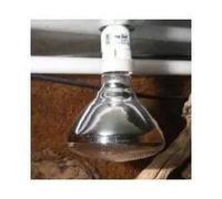 Lighting JBL Solar Uv-Spot Plus 100W (x2)