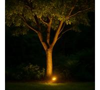 Lighting Legends Ultimate Smart Bluetooth Floodlight Led Outdoor Rgb / Whites