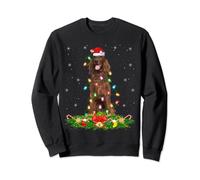 Lighting Xmas Santa Irish Setter Dog Christmas Sweatshirt