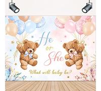 LIGHTINHOME Bear Gender Reveal Backdrop 5Wx3H Feet for He or She Pink or Blue Boho Floral Cute Balloons We Can Bearly Wait Baby Shower Photography Background Decorations Photo Booth Studio Prop Fabric