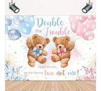 LIGHTINHOME Double The Trouble Twice The Fun We are Having Backdrop 5Wx3H Feet for It's Twins Baby Shower Blue Pink Bear Gender Reveal Photography Background Decorations Photo Booth Studio Prop Fabric