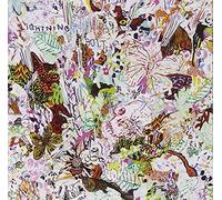 Lightning Bolt - Earthly Delights by Lightning Bolt (2009-10-13)