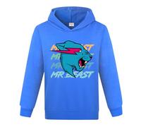 Lightning Cats YouTube Gamer Boys Girls Jumper Hoodie Cotton Sweatshirts Kids Tops (Navy Blue,12-13 Years,12 Years,13 Years)