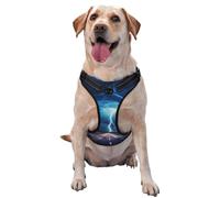 Lightning in a Flash Large Printed pet Traction Vest - Suitable for Dog Walking, Hiking and Outdoor Adventures,