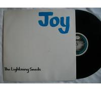 Lightning Seeds - Joy
