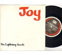 LIGHTNING SEEDS - LIGHTNING SEEDS - JOY - 7 inch vinyl / 45