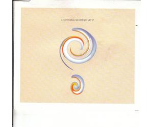 Lightning Seeds - What If