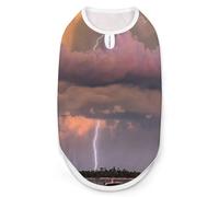 Lightning Strikes Under A Rainbow Pet Printed Clothes,Pet T Shirts,Cool Puppy Shirts for Small,Medium And Large Pet Dogs Cats 2XL