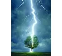 Lightning striking a tree