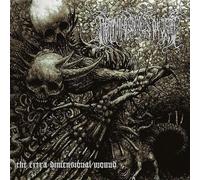 LIGHTNING SWORDS OF DEATH - Extra Dimensional Wound [VINYL]